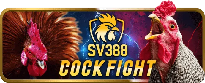 Cấp độ VIP Bạch Kim hf88 nhà cái