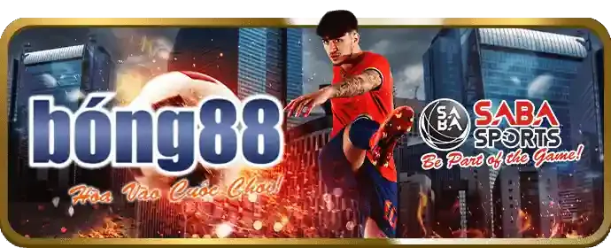 Cấp độ VIP Vàng hf88 nhà cái
